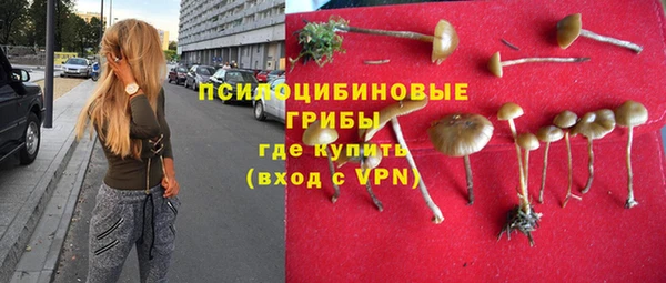 ПСИЛОЦИБИНОВЫЕ ГРИБЫ Арсеньев