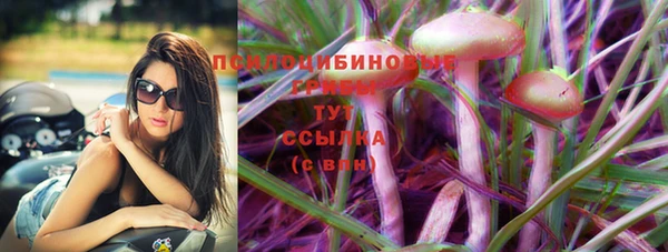 ешки Балахна